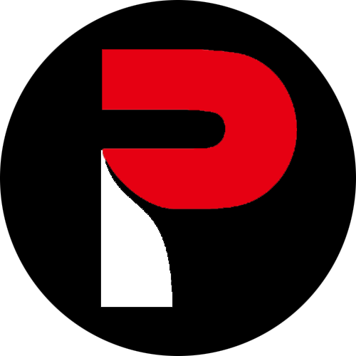 Panda Money Logo